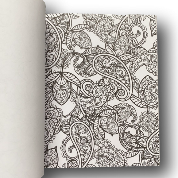 Stress Less Adult Coloring Book - Paisley Patterns - Brand New - Picture 6 of 9